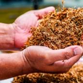 Produtos de tabacaria