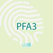 Certificado Digital PFA3: Solução Completa para Profissionais da Área Fiscal em Itapema