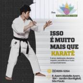 Karatê Profissional