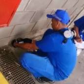 Desratização Profissional em Rio Claro com Garantia Total