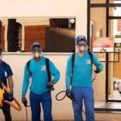 Empresa de Controle de Pragas MIP - Soluções Eficientes para o Controle de Pragas em Rio Claro/SP