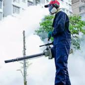 Empresa Especialista em Controle de Pragas para Ambientes Saudáveis em Rio Claro/SP