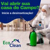 Descupinização