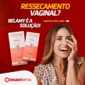 Belamy