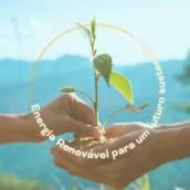 Energia Solar para Agronegócio