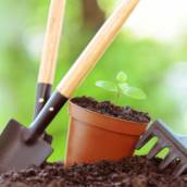 Jardinagem em Indaiatuba