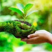  Licenciamento Ambiental 
