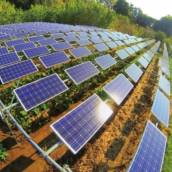 Energia solar em agronegócio 