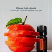 Chips de canela e maçã