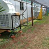 Locação de climatizadores para eventos