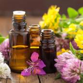 Terapia floral