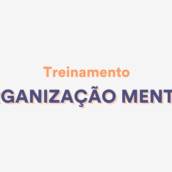 Treinamento Empresarial - Organização Mental