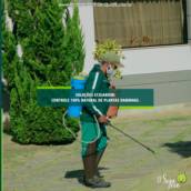 Controle de plantas 