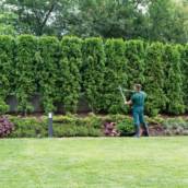 Jardinagem profissional 