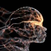 Terapia Neural