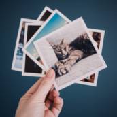 Digitalização de fotos 