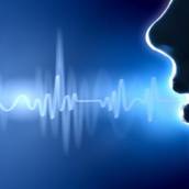 Fonoaudiologia