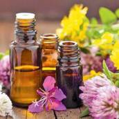Terapia Floral