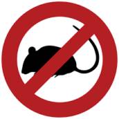 Controle de Ratos