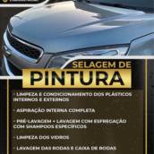 Selagem de pintura 
