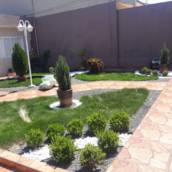 Formação de jardim