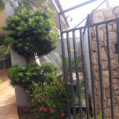 Tudo em jardinagem