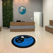 Clinica veterinária