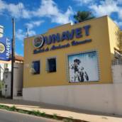 Clinica Veterinária  