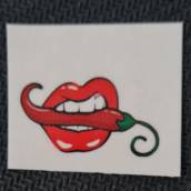  Tatuagens eróticas