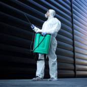 Dedetização de empresas