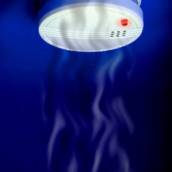 Profissionais em dedetização