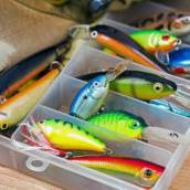 Iscas para pesca