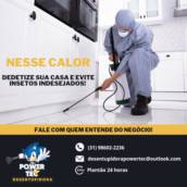 Profissionais em detetização