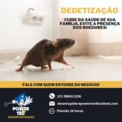 Detetização de empresas