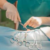 Cirurgia Veterinária 