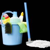 Equipamentos, utensílios, e acessórios para limpeza