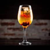 Gin Tônica