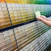 Especialistas em Tintas em Dourados, MS por Casa das Cores Tintas