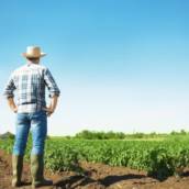 Curso de Agronomia