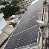 Especialista em  Instalação de Energia Solar