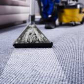 Limpeza e higienização de carpetes