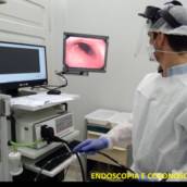 Consultas