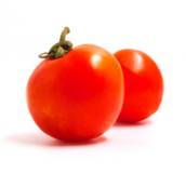 Caqui