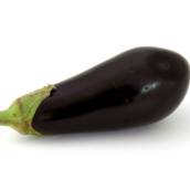 Berinjela 