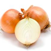 Cebola 