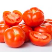 Tomate 