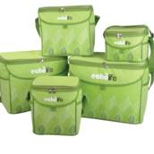 Bolsa Térmica - Diversas Marcas e Modelos