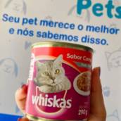 Patê