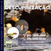 Descupinização 