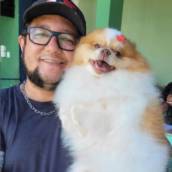 Especialista psicologia canina